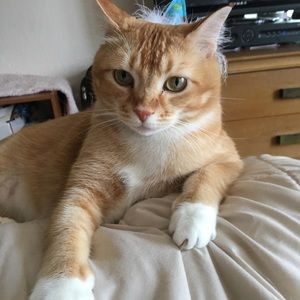 Meet your Posher, Barb